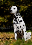 09 Farbenspiel